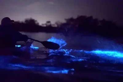 Kayak de 2 dias na baía de Lan Ha: Passeio noturno para ver plâncton