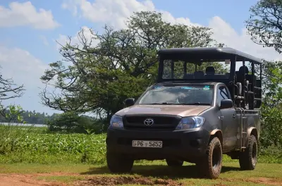 Yala Nationalpark Safari: Leoparden & Elefanten mit schnellem Einlass