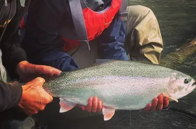 Pesca a mosca e spinning sul fiume Kenai, giornata intera