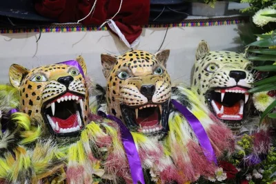 Join the zoque carnivals in chiapas—choose san fernando or coita. walk lively streets, visit cohinas, taste el curadito, and see unique rituals up close.