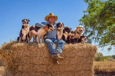 Feel the real outback at katherine with a live horse training and working dog show, music from tom curtain, and local stories. includes wheelchair access.