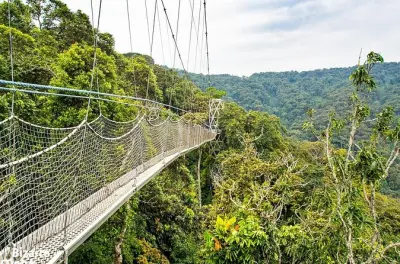 Nyungwe canopy walk da Kigali: Ponte sospeso di 200 m