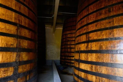 Guadeloupe, distillery bonne mère und rum-museum entdecken. mit lokalem guide seltene vintage-rums probieren. barrierefreier zugang und verkostung inklusive.