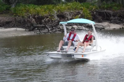 Marco island erleben: mit dem eigenen cat boat durch mangroven-tunnel cruisen, delfine und manatis entdecken, mit guide und gratis fotos inklusive.