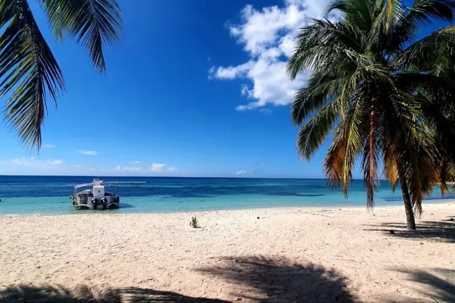 Saona Island tour: Small group trimaran with lunch and snorkel