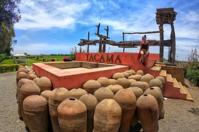 Degustação de pisco e vinho no vinhedo Tacama, Ica, Peru antigo