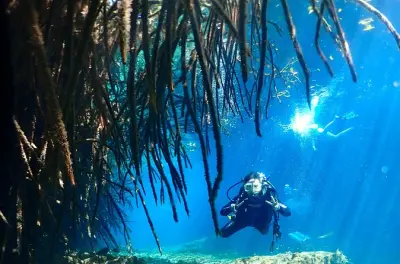 Mergulho em Tulum no Casa Cenote: Não precisa de certificação