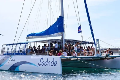 Navega desde palmeira en un catamarán amplio con camas lounge, bebidas ilimitadas y piscina flotante. incluye recogida en hotel y snacks locales. avistamiento de tortugas o ballenas según temporada.