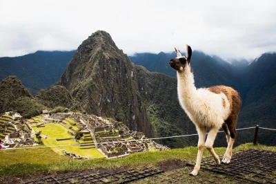 Vive machu picchu, un tour por cusco y la montaña de colores en 4 días. incluye entradas, guías, traslados y comidas locales. reserva ya tu aventura en perú.