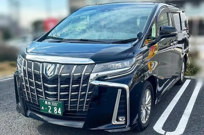 Narita Flughafentransfer Tokio: Private Abholung im Van