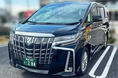 Trasferimento aeroporto Narita Tokyo: Pick-up privato in van
