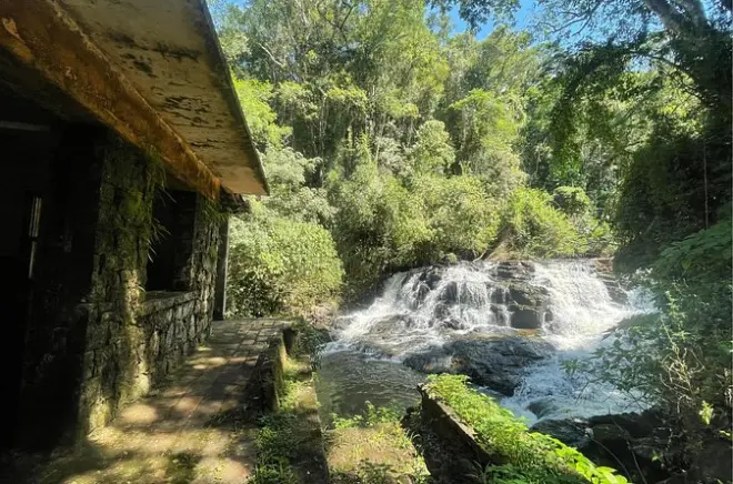 Atlantic Forest trails at Iguaçu National Park: Guided walk
