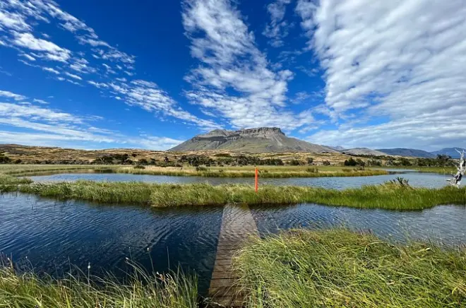Private bird watching in Patagonia: 7 km hike with expert guide