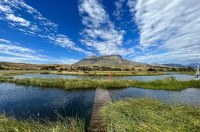 Private bird watching in Patagonia: 7 km hike with expert guide