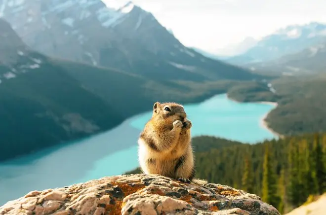 Banff Privattour: Moraine Lake, Lake Louise & Athabasca-Gletscher