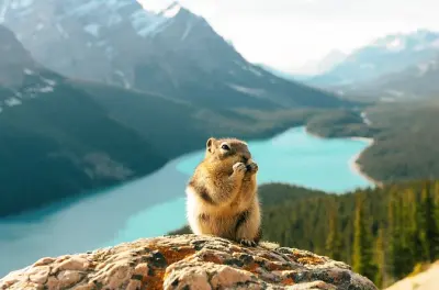Banff Privattour: Moraine Lake, Lake Louise & Athabasca-Gletscher