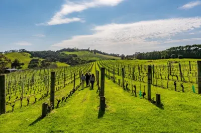 Waiheke île food & wine privé : 3 vignobles et déjeuner