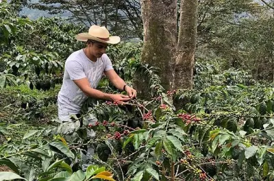 Da Moshi: Cascata di Materuni, caffè, nuoto e relax garantiti