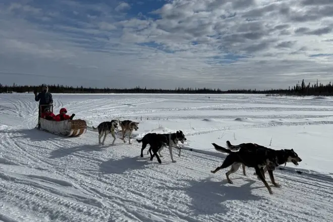 Yellowknife: Corsa tradizionale in slitta trainata da cani, 25 min