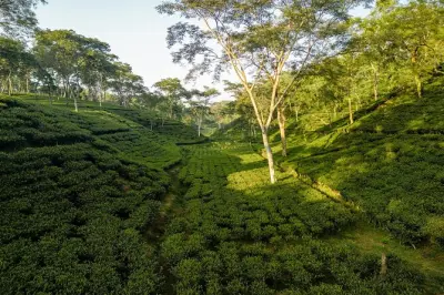 De Bagdogra a Darjeeling con paseo a caballo en lago Mirik