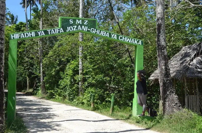 Zanzibar : Forêt de Jozani et ferme aux épices, singes colobes rouges