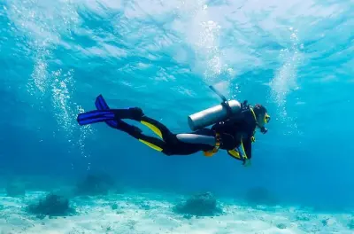 Tauchen in Angra dos Reis: 1 Tauchplatz entdecken