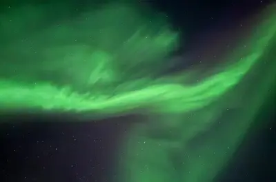 Yellowknife 4-day aurora tour: 3 night hunts & wildlife
