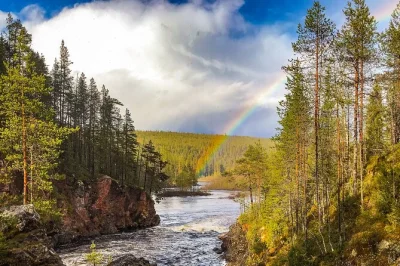 Erlerne grundlegende Überlebenstechniken, entdecke wildtiere und genieße einen finnischen lagerfeuersnack im taiga-wald lapplands. geführte sommer- und herbsttouren ab rovaniemi.
