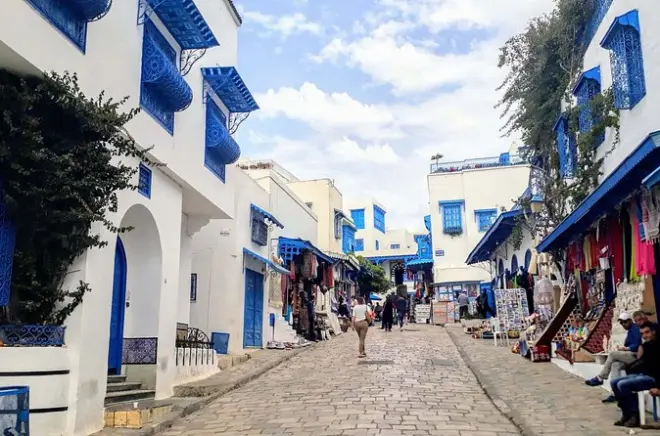 Tunis: Medina, Karthago & Sidi Bou Said mit Guide