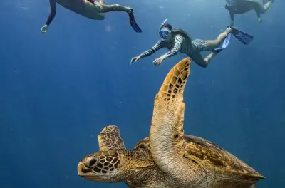 Snorkeling a Tahiti: Laguna di Nuuroa con guida locale