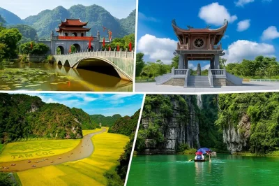 Descubre la magia tranquila de ninh binh en una excursión desde hanoi: explora la antigua hoa lu, navega por las cuevas de trang an y sube a mua cave con recogida en hotel incluida.