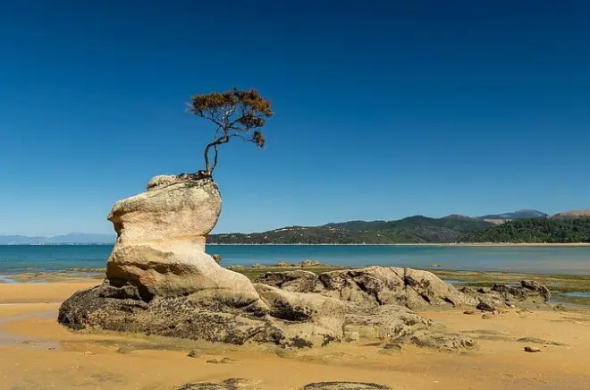 Caiaque em Abel Tasman saindo de Nelson: Tour privado com guia