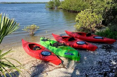 Kajakfahren Indian River Lagoon: Mangroven-Tunnel Tour