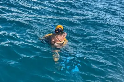 Chasse sous-marine privée à Manuel Antonio : Pêchez votre poisson