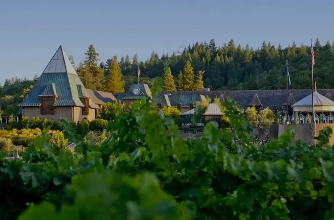 Healdsburg Private Wine Tour: Coppola Winery & 3 Stopps, 6 Stunden