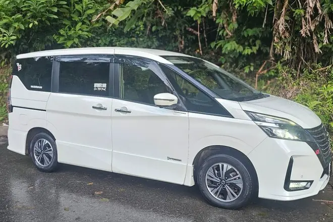 Transfer aeroporto a Tobago: Pick-up e trasferimento in hotel