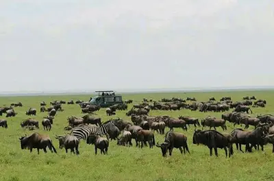 Arusha National Park Day Tour: Giraffes, Lakes & Mt. Meru