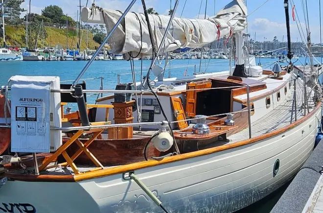Segeltour ab Oceanside: Wale, Delfine & Bug-Sitz