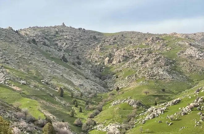 Shahrisabz Day Tour: Timurid Palaces & Mountain Passes