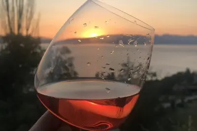 Wine Tasting in Ohrid: Six Macedonian wines with barbecue