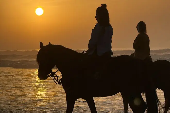 Equitación en Essaouira: Playas, dunas y bosque de argán
