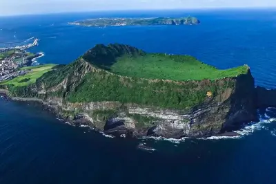 Jeju Ostküste: Tour mit Mandarinenpflücken und Mittagessen