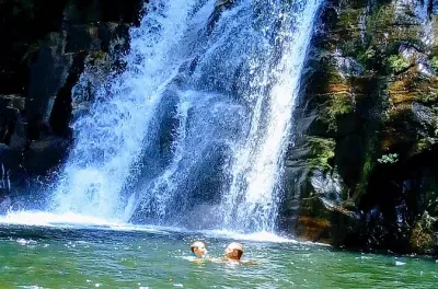 Sinharaja Rainforest Tour from Galle: Wildlife & Waterfall