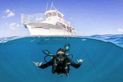 Découvrez la plongée sous-marine à honolulu avec un guide padi certifié. cours personnalisés, location de matériel et rafraîchissements inclus pour une première expérience inoubliable.