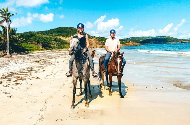 Horseback riding on Atlantic coast: Private beach picnic ride