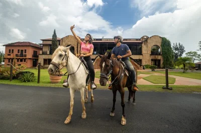 Siente el ritmo de los caballos paso fino en un rancho privado cerca de san juan, monta con guías locales y relájate en un bar de mojitos con vista. casco incluido.