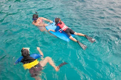 Explore o molokini com snorkel saindo do maalaea harbor, nade dentro de uma cratera vulcânica, veja a vida marinha e aproveite almoço com bebidas inclusas.