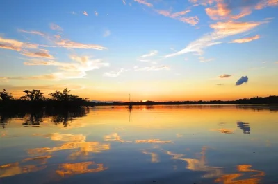 Feel the amazon in cuyabeno—canoe rides, wildlife hikes, shaman visit, and lodge stay with local guides. includes rain gear, hot drinks, and all transfers.
