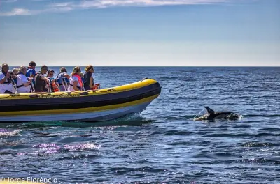 Passeio de barco em Portimão às grutas de Benagil e golfinhos