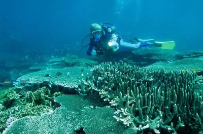 Snorkel na ilha Balicasag: Horário para ver tartarugas marinhas